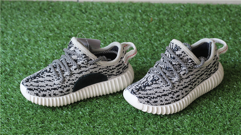 Baby's Kid Yeezy Boost 350 Turtle Dove Infant